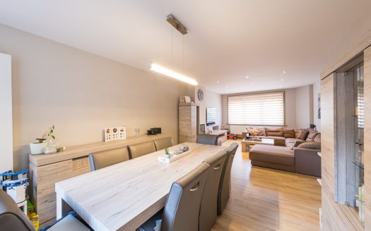 Ruime, recent vernieuwde, welgelegen, woning met alle comfort en terras